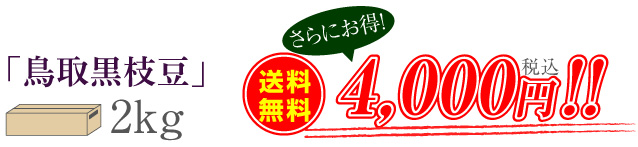 「鳥取黒枝豆」2kg　送料無料4,000円（税込）