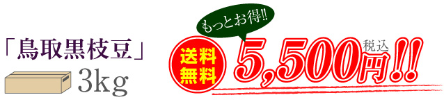 「鳥取黒枝豆」3kg　送料無料5,500円（税込）