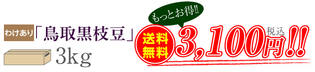 わけあり「鳥取茶豆」3kg　送料無料3,100円（税込）